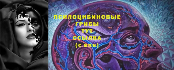 спиды Богородск