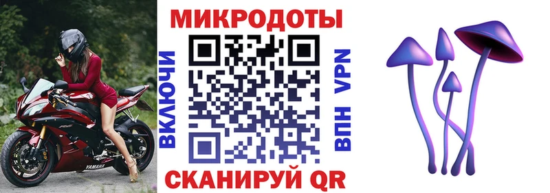 Галлюциногенные грибы Cubensis Кораблино